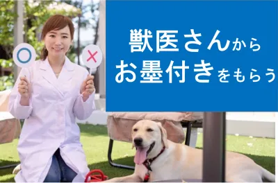 獣医さんの70%が登録するコミュニティを活用しませんか?【ペット向け製品評価】